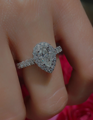 Martin Flyer background